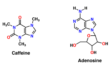 Image:Caffeine_and_adenosine.gif