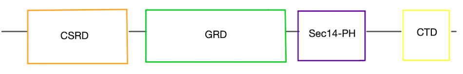 Image:Csrd,grd,sec,ctd.png