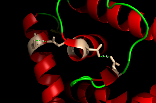 Image:H Bonding of DNA.png