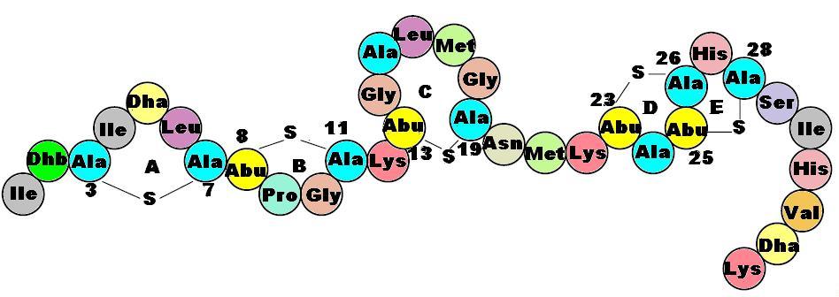 Image:Nisin_2d_amino_structure.JPG