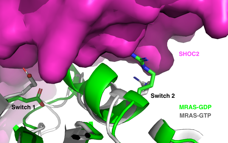 Image:Freak2.png