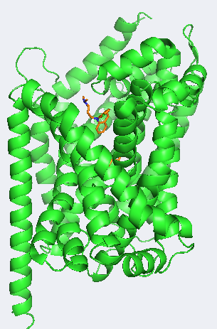 Image:SERT image.png