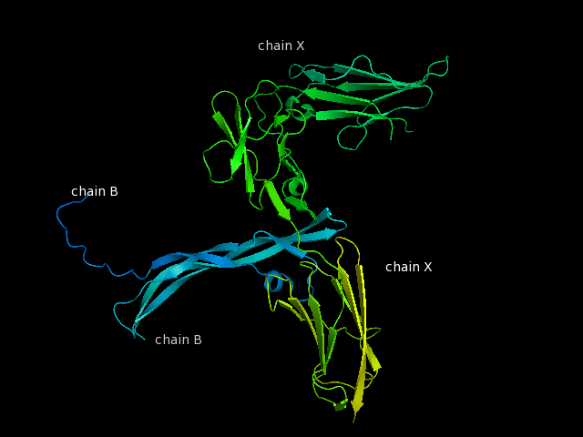 Image:Chain B and X.png