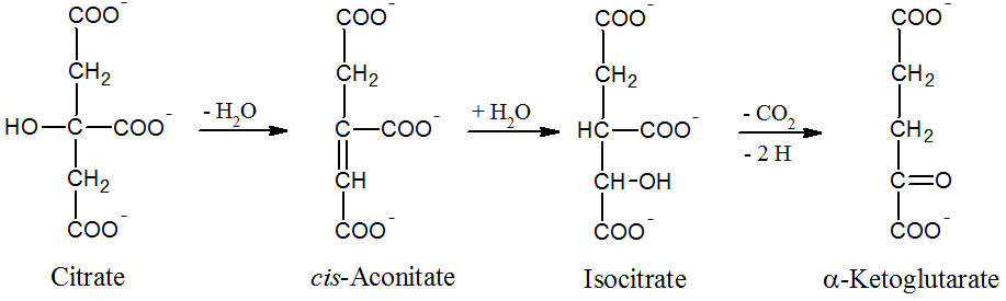 Image:discovery_4.jpg