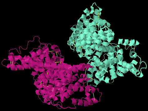 Image:Albumin.png