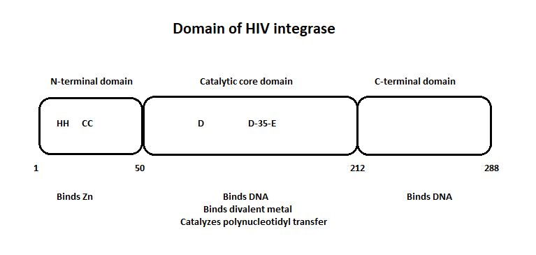 Image:Domain_HIV_Integrase.jpg