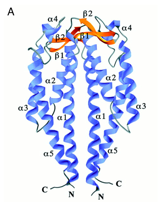 Image:Exemple1.PNG