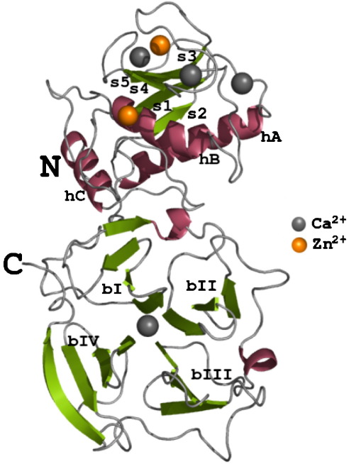 Image:MMP_crystal.jpg