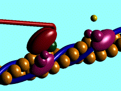 Figure 1. The movement of myosin motor domain on actin filament.