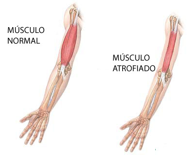 Image:imag1gonzalo.jpg