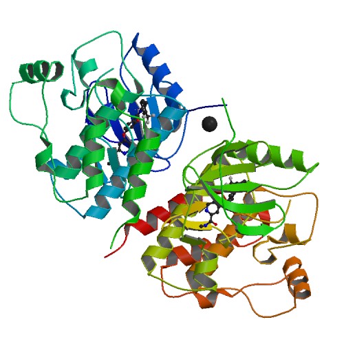 Image:1uwh bio r 500.jpg