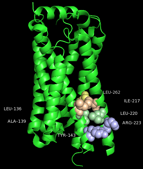 Image:Cluster 4 new1.png