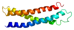 Image:Syntaxin-1A.png