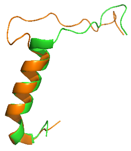 Image:Calcitonin Amylin Overlayv2.png
