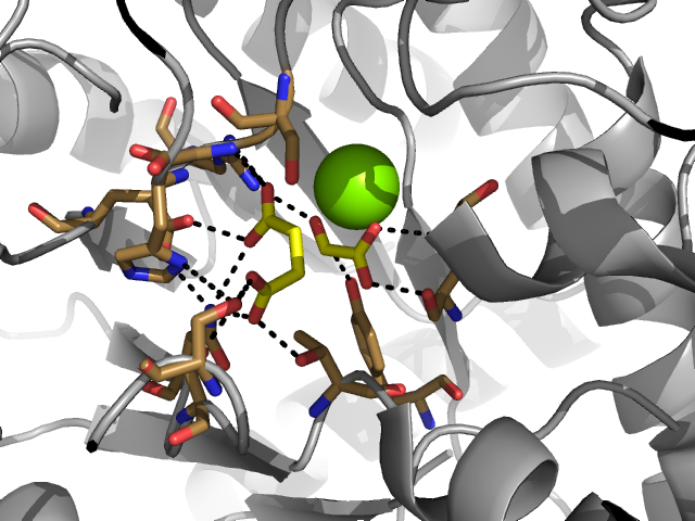 Image:Serine with active site.png