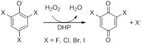 Image:trihalophenol mech.jpg