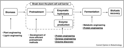 Image:Biofuel.jpg