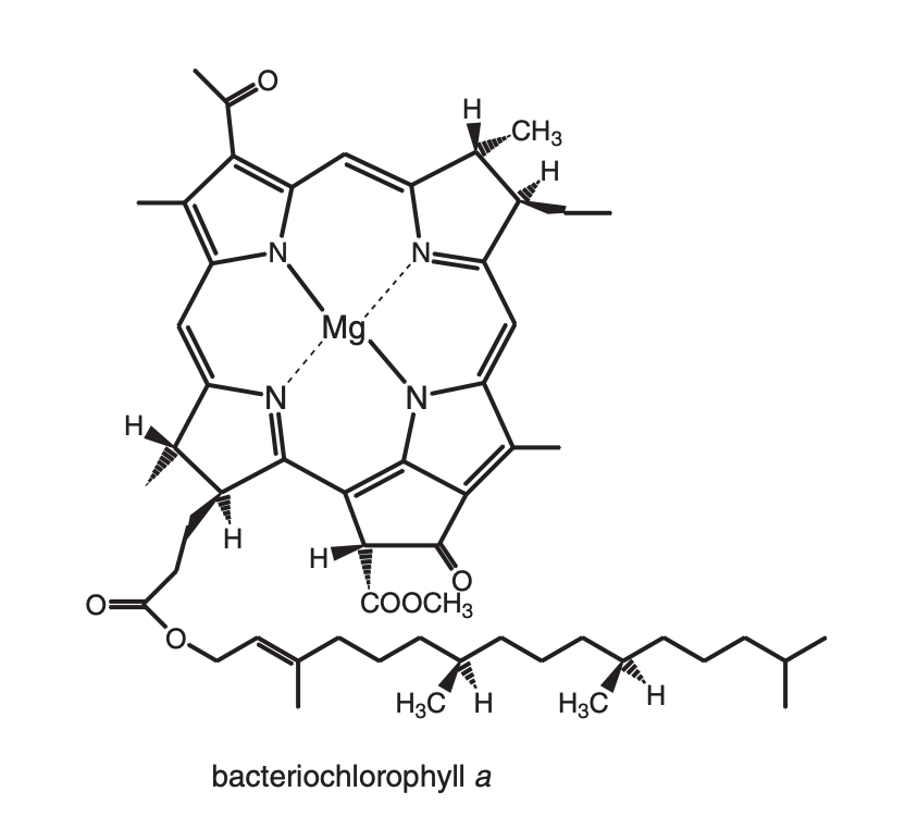 Image:Bacteriochlorophylla.png