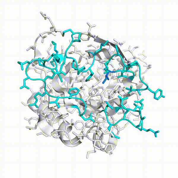 Image:ActaCrystFS2053230X23006817 Colchicalin Morphing.gif