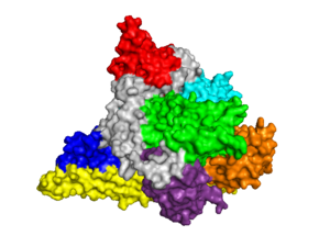 PI3K p110α Subunit, 3hhm