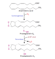 COX reaction