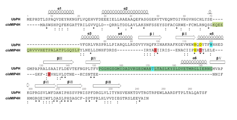 Image:Ubhpf3a.png