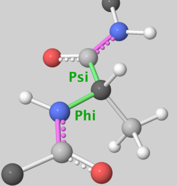 Image:Phi-psi-bonds.png