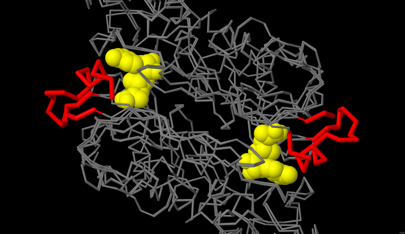Image:SAM synthase loop.pngj