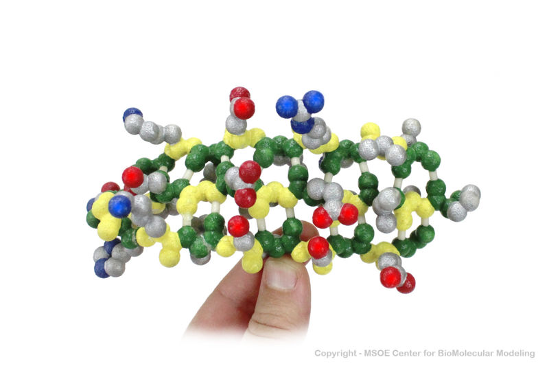 Image:SecondarStructure1 centerForBioMolecularModeling.jpg