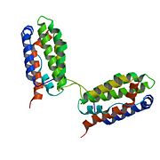 another view of the biologically active homodimer