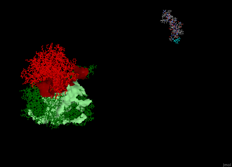 Image:Ani5.png