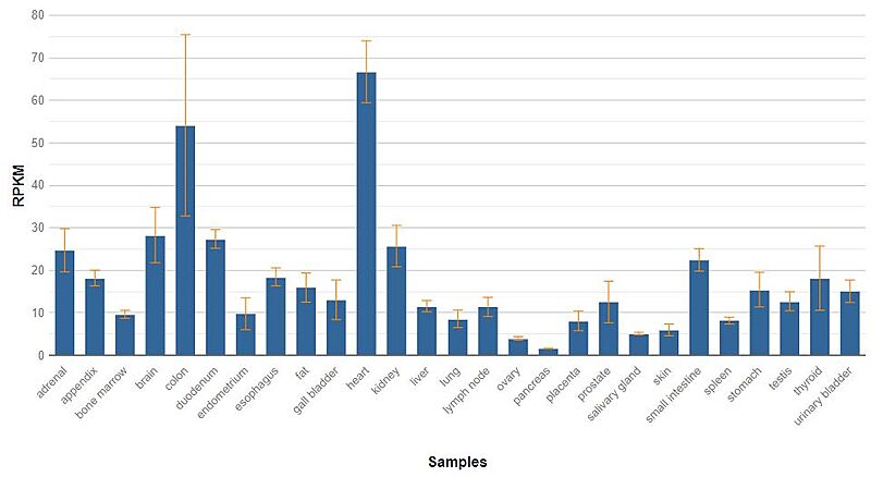 Image:Expression cytochrome c.JPG