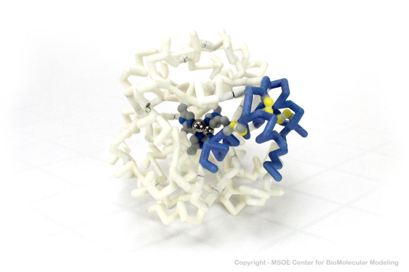 Image:Insulin 1 centerForBiomolecularModeling.jpg