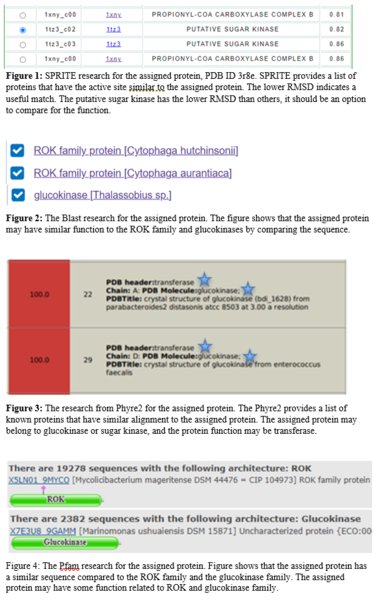 Image:3r8e Protein function.PNG