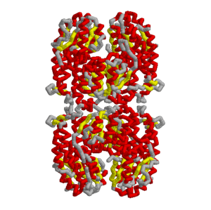 Glucosamine 6 Phosphate Synthase