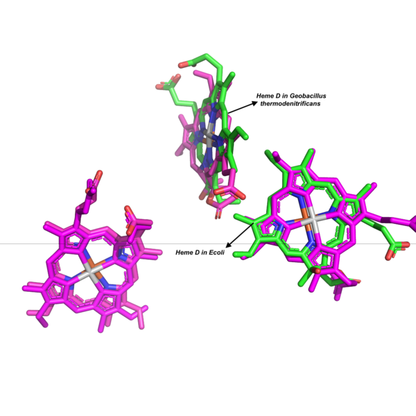 Image:Heme alignment.png