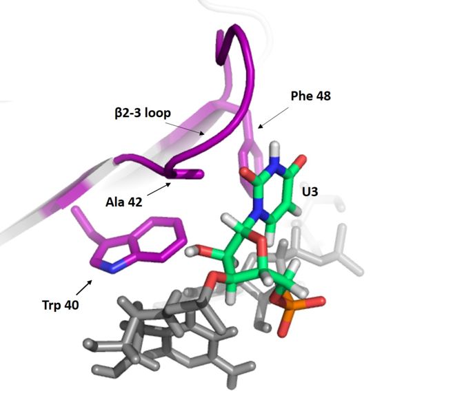 Image:SRp20 U3 Interactions Image.jpg