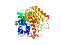 HDAC 8 structure overview