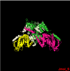 Human Merlin FERM Domains colored by chain