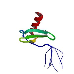 NMR Structure of the Stromal cell-derived factor 1α, 2kec