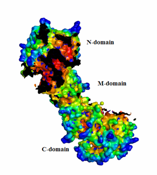 Image:Concavity domains.png