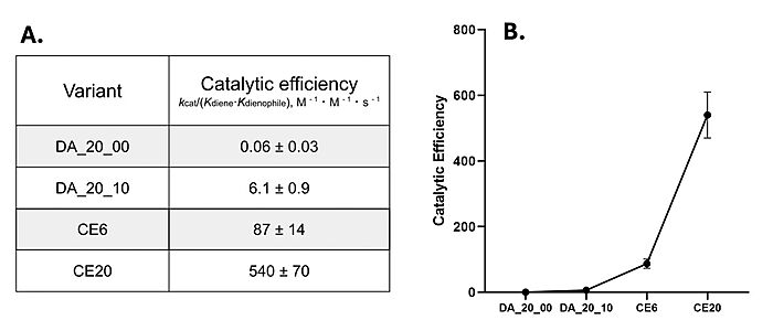 Figure 4. A) Catalytic efficiencies of key Diels-Alderase generations. Kinetic data was measured at 25°C, in PBS, at pH 7.4. B) Improvement of catalytic efficiency across generations.