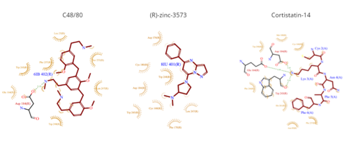Figure 5. Common MRGPRX2 ligand structures shown in brown. Hydrophobic interactions shown by dashed wheat lines indicating direction. Positive atoms are represented in blue. Negative atoms are represented in red.