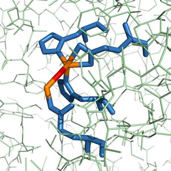 Image:Zn2+ binding Pres.png