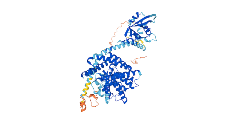 Image:AFold PDEB1 structure.png
