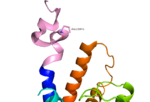 Fig. 1: A135P Mutation and effect on stalk stability .