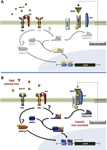 Image:Iron process.jpg