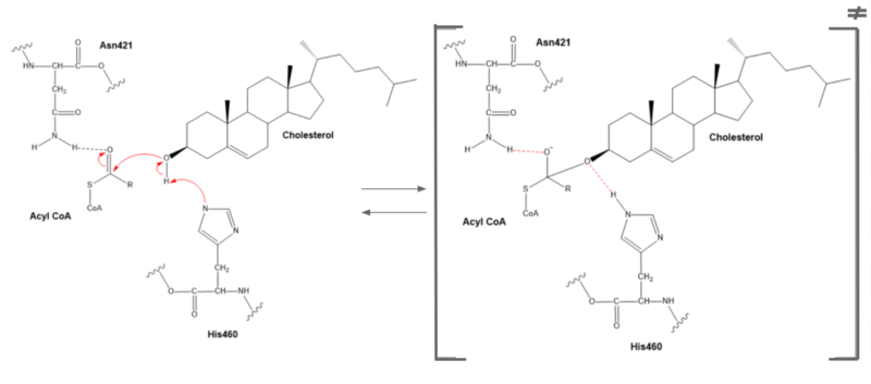 Image:6p2pmech1.PNG