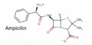 Ampicillin 