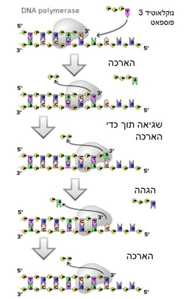 Image:DNA.jpg